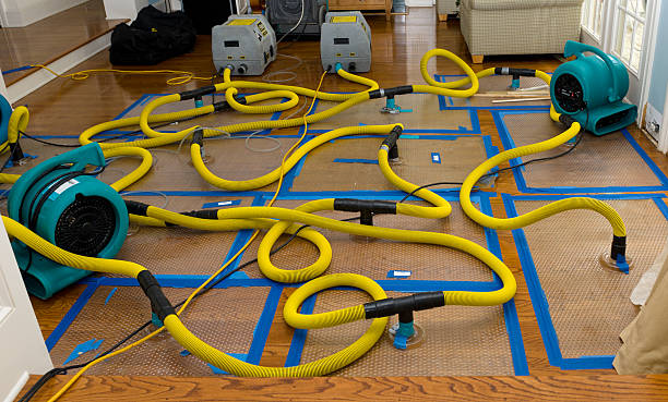 Professional Water Extraction technician working in Waban, MA